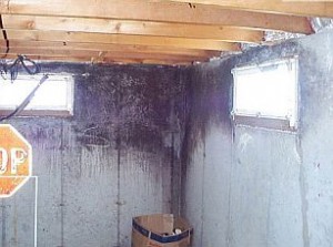 Poor drainage at the foundation's corners is a common cause of moisture problems like the mold shown here.