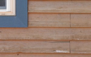 5-year old cedar siding