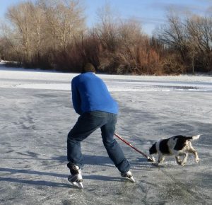 Covering the puck with my stick blade, I score one for the humans.