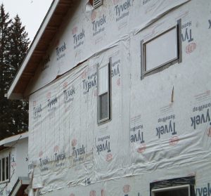 Poor installation and mold on house wrap.