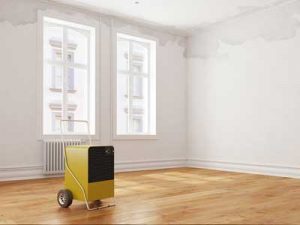 Preventing mold after water damage: Professionals use industrial dehumidifiers that can quickly dry out your water damaged home, which helps to stop of the growth of mold.