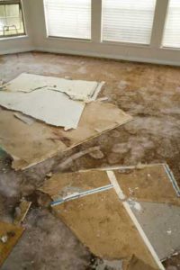 Water can cause a lot of damage to your home. Mold will make that damage even worse.